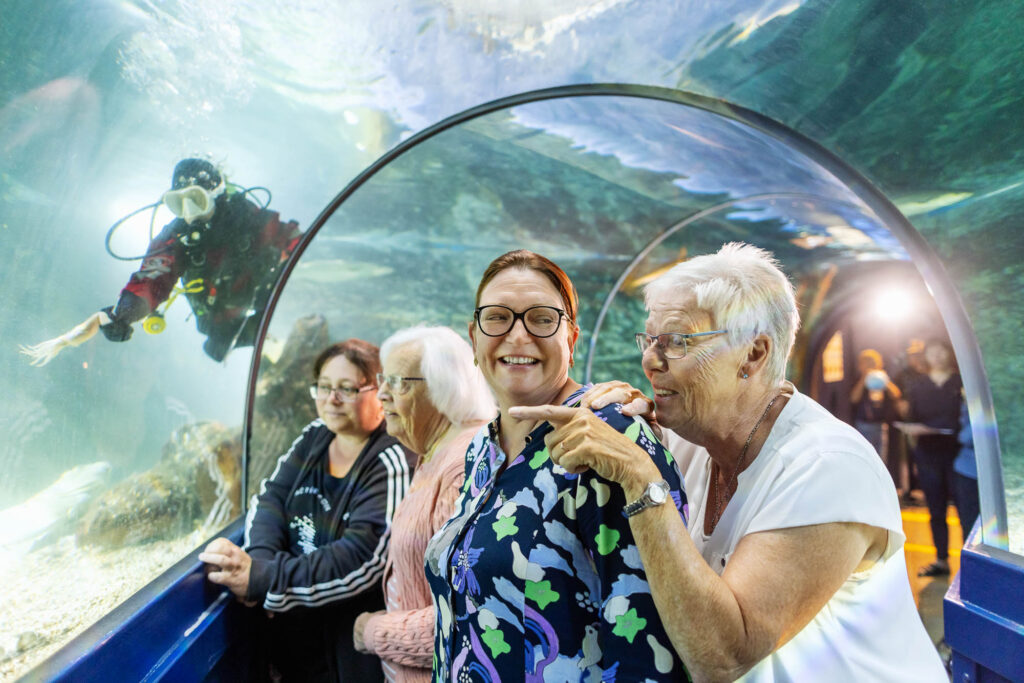 Image: Diver and visitors in tunnel