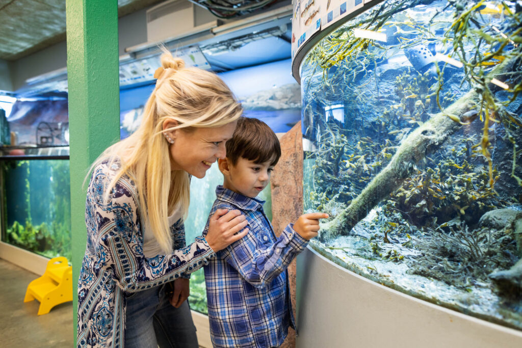 Image: Visitors look in aquarium