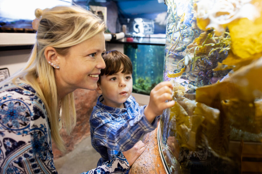 Image: Visitors look in aquarium
