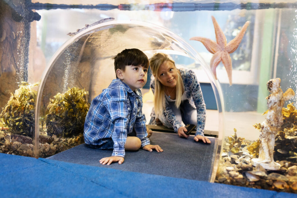 Image: Visitors in a small tunnel.