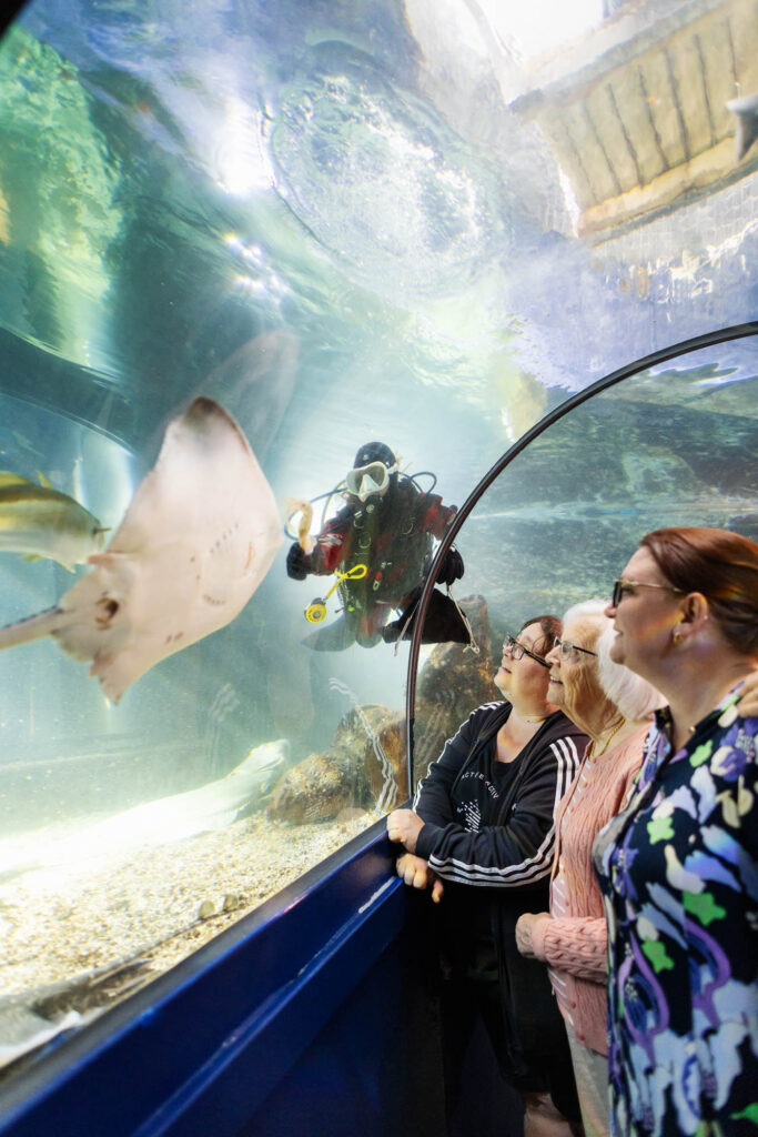 Image: Thornbackray, diver and visitors in tunnel.