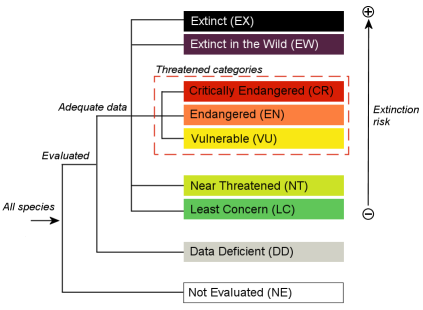 categories_chart_global_v3
