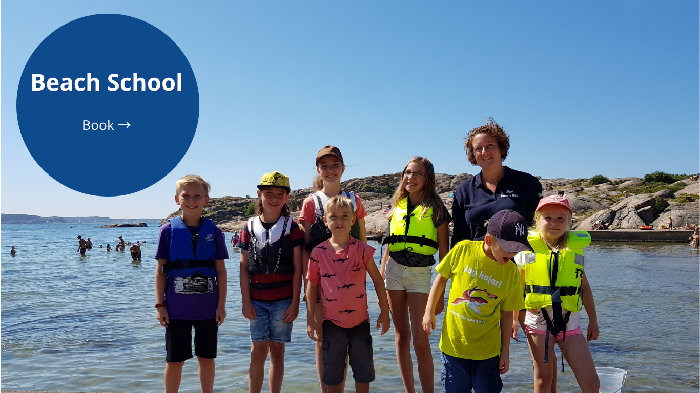 Woman and kids in life vests by the sea