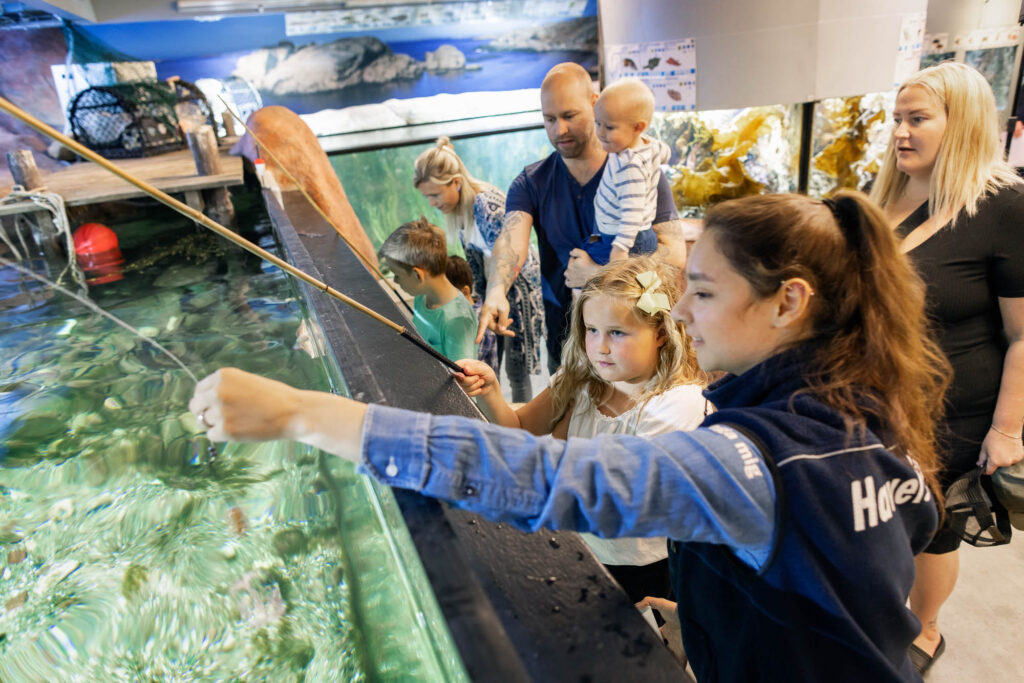 Bild: Familj och guide gör omvänt fiske