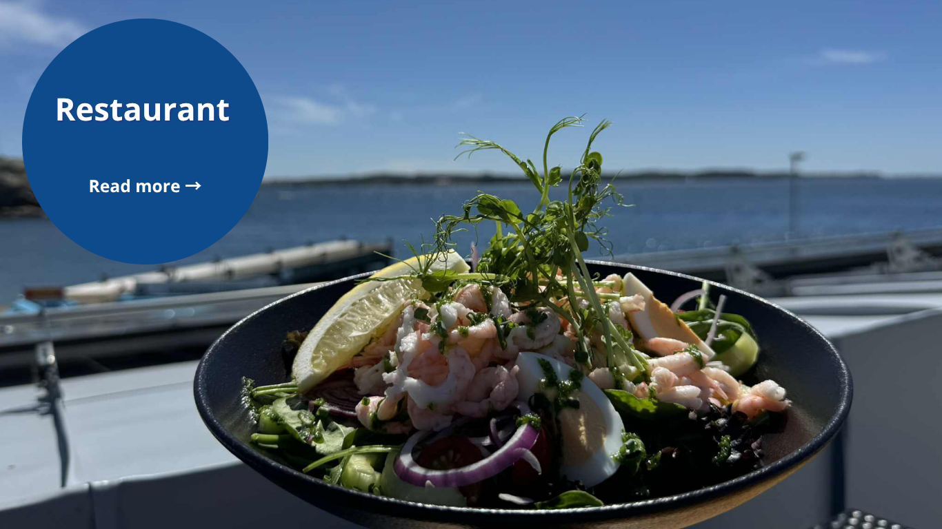 Plate with seafood sallad with horizon in the background
