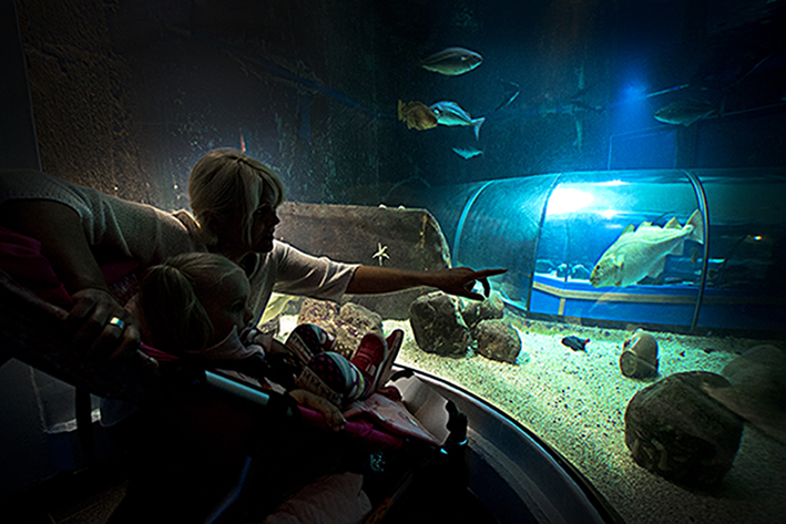 a photo of one of the aquariums at Havets Hus. Two visitor in front of the aquarium.